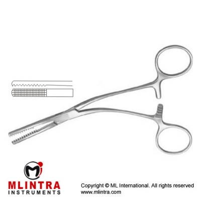 Salyer Bone Holding Forcep Stainless Steel, 16 cm - 6 1/4 Salyer Bone Holding Forcep Stainless Steel, 16 cm - 6 1/4